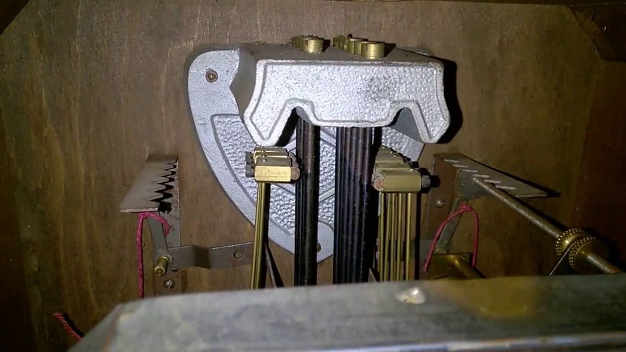 ODO 36-10 củ g&ocirc;ng M