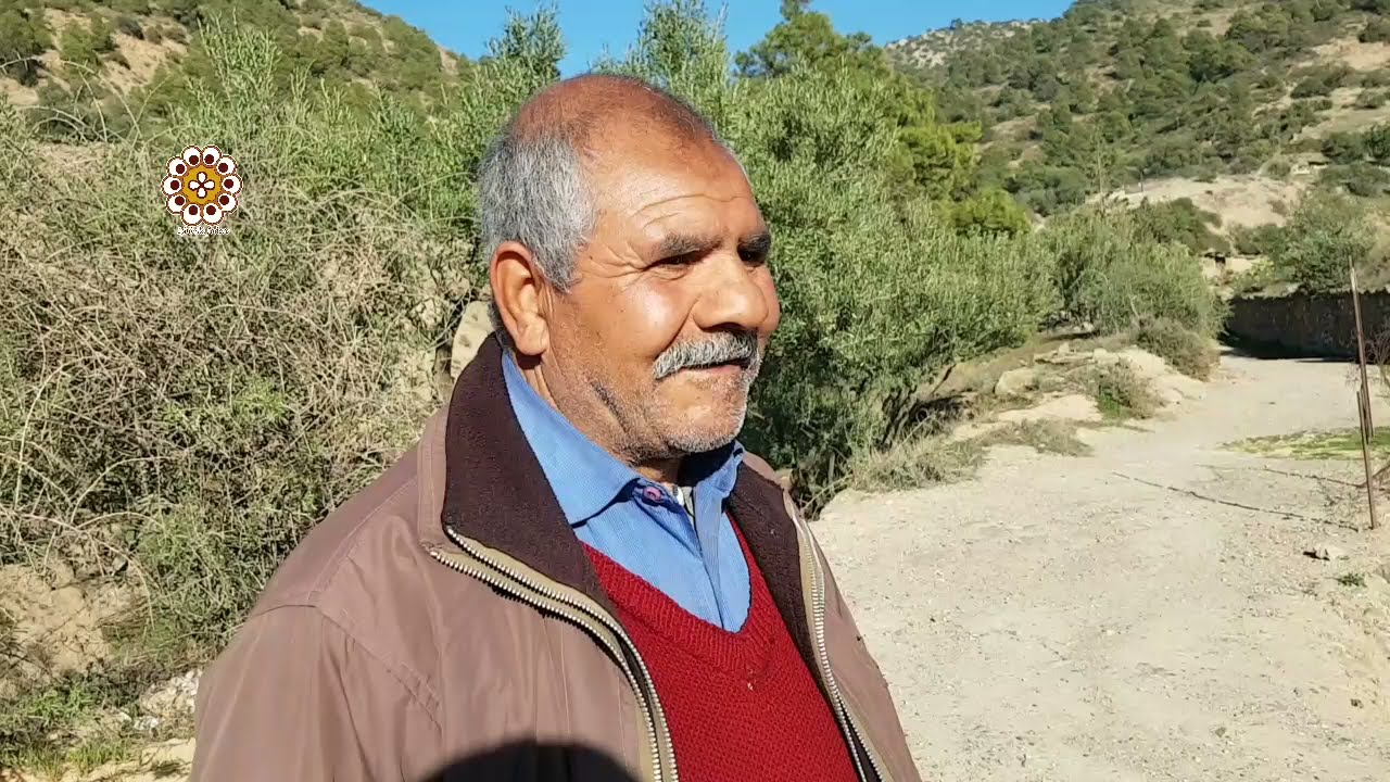 Tigrine Boudjellil