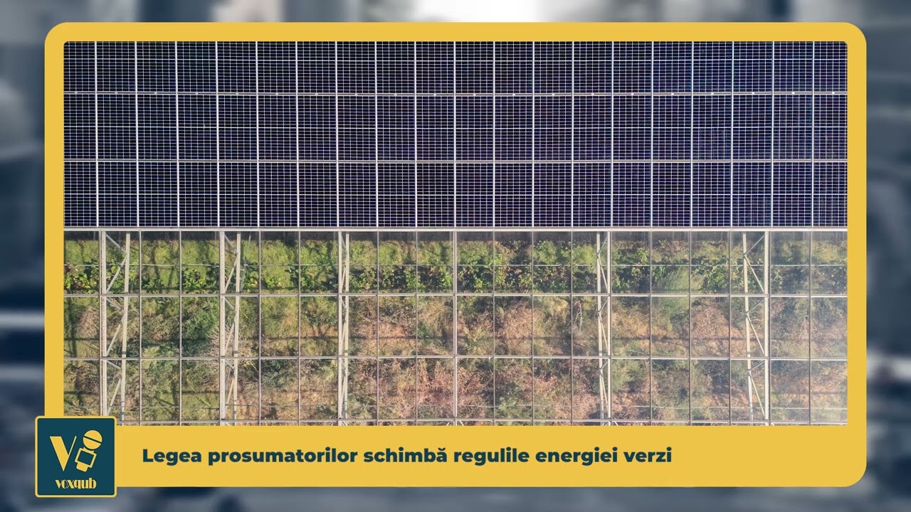 Legea prosumatorilor schimbă regulile energiei verzi - VoxQub