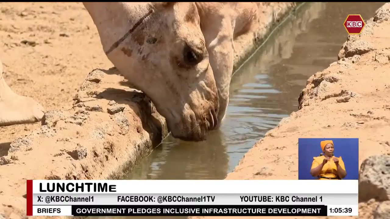 Marsabit North worst hit as rivers and water sources dry up