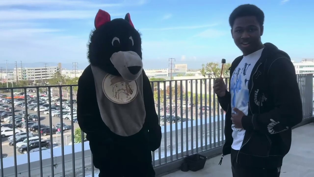 Who is Wolfie?