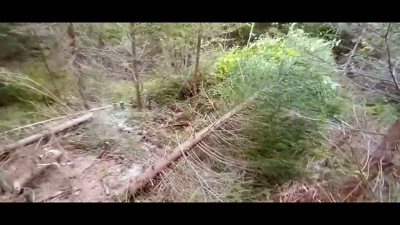 Taimikonhoito työmaan aloitus viikonloppu fiiliksissä.