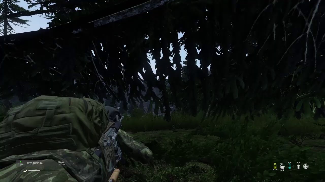 DayZ PS4 - LIVONIA [BASE RAID/BUILDING/PVP?]