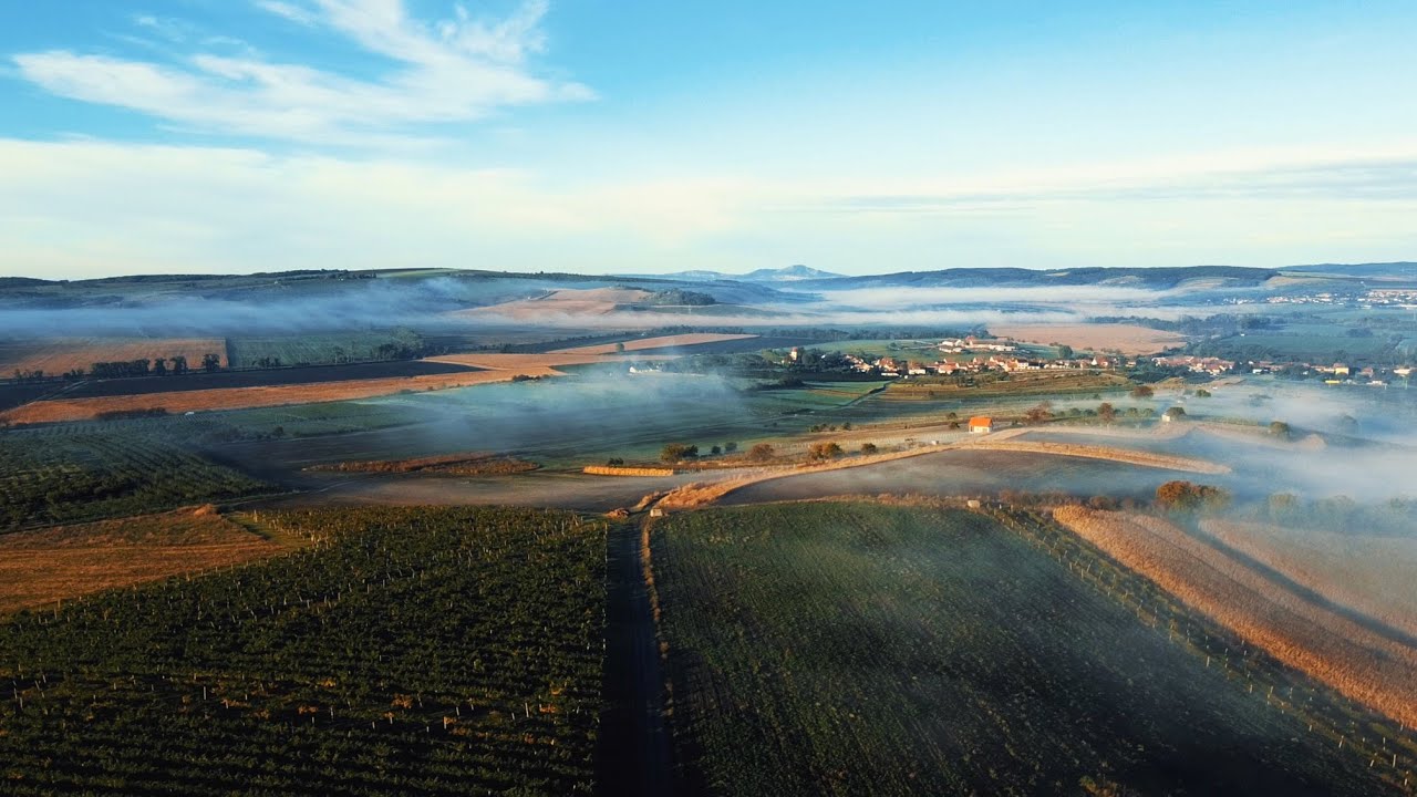 Čejč - Jižní Morava (DJI Mavic Mini & BMPCC4K)