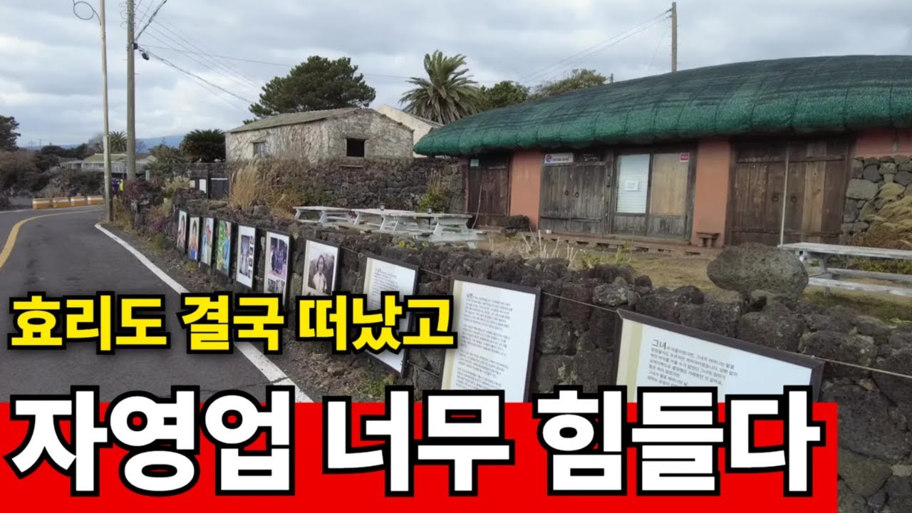 영화 거품도 다빠져버렸다 | 제주 자영업 줄초상, 개점휴업 속출