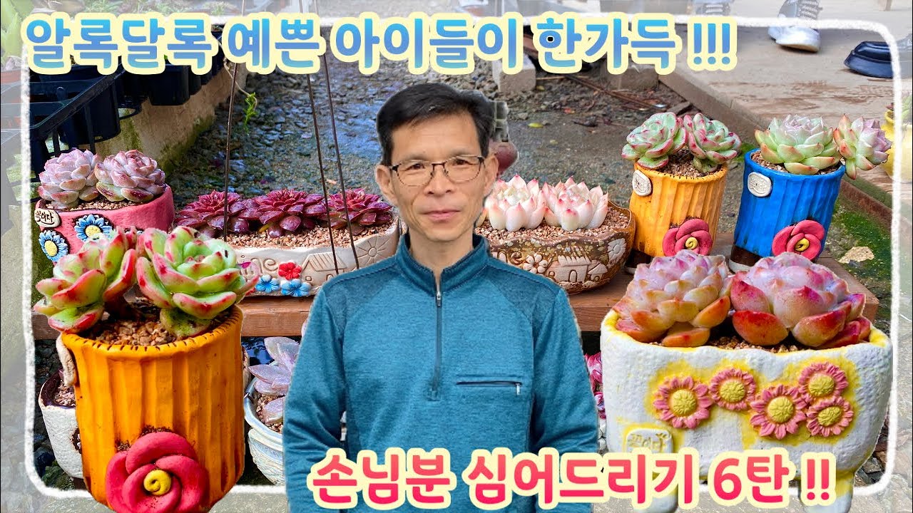 알록달록 예쁜 아이들이 한가득 !!! 다시 돌아온 손님분 심어드리기 6탄 !! 여러분 ~ 어서들 구경오세요 !!