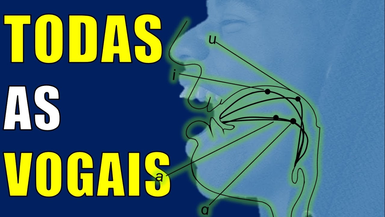 Vogais no Alfabeto Fonético Internacional