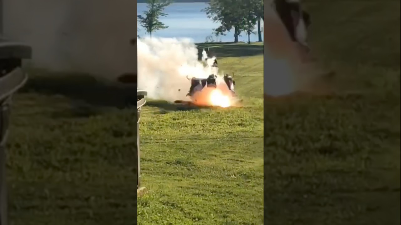 Bro DISINTEGRATED my TRASH CAN 