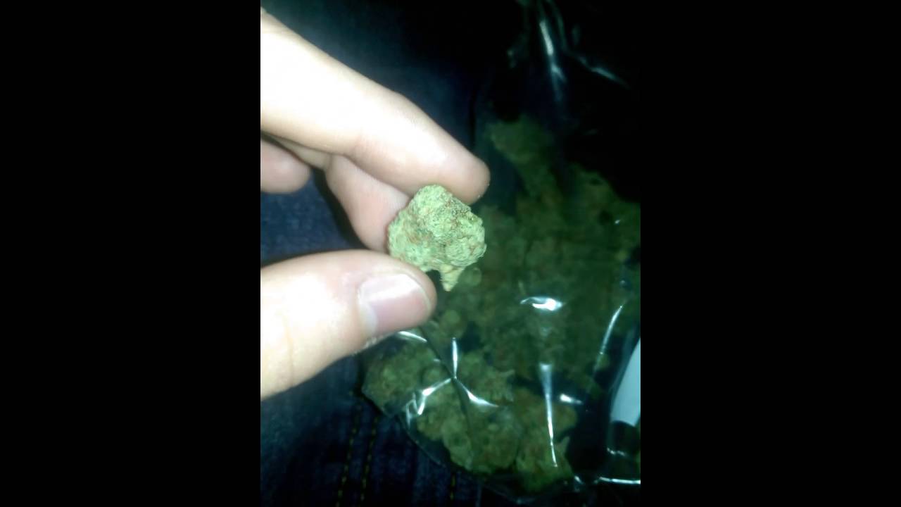 DANK BUDZ
