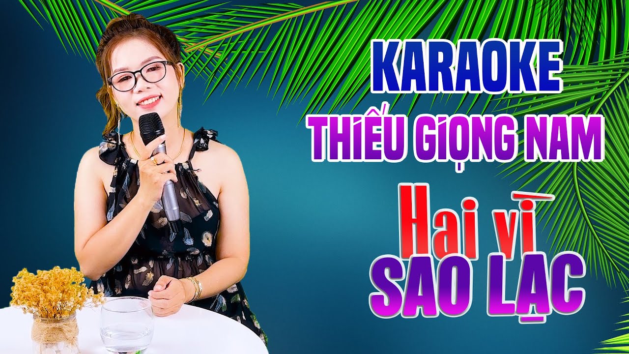 Karaoke Song Ca | HAI VÌ SAO LẠC - Thiếu Giọng Nam | Song Ca Với Lê Liễu