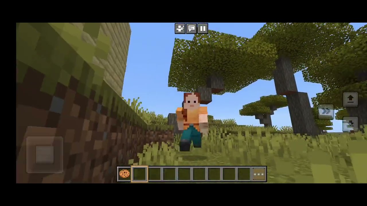 MINECRAFT