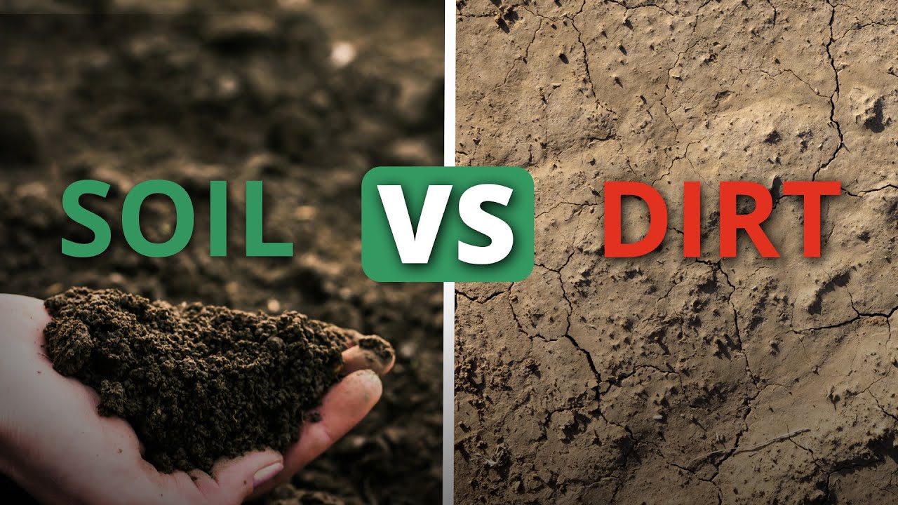 What Makes Soil Healthy? | Soil Food Web School