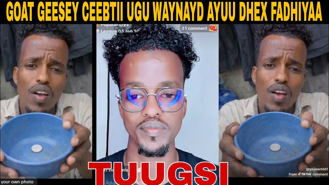 GEESEY OO CEEBTII UGU XUMAYD TUUGSIGII KA RAACDAY