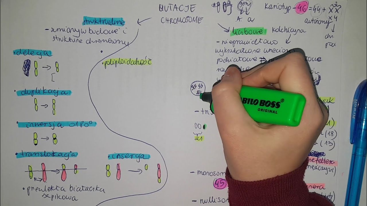 MUTACJE I CHOROBY CHROMOSOMOWE-o co chodzi??