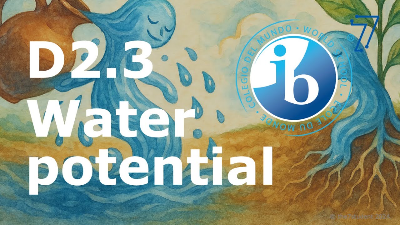 2025 IB Biology &ndash; D2.3 Water potential
