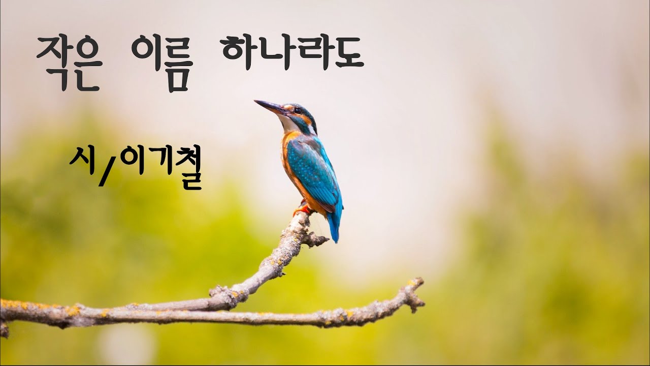 [시낭송]작은 이름 하나라도/이기철(낭송:봉경미)좋은시,치유시,애송시,명시,감동시,힐링시,