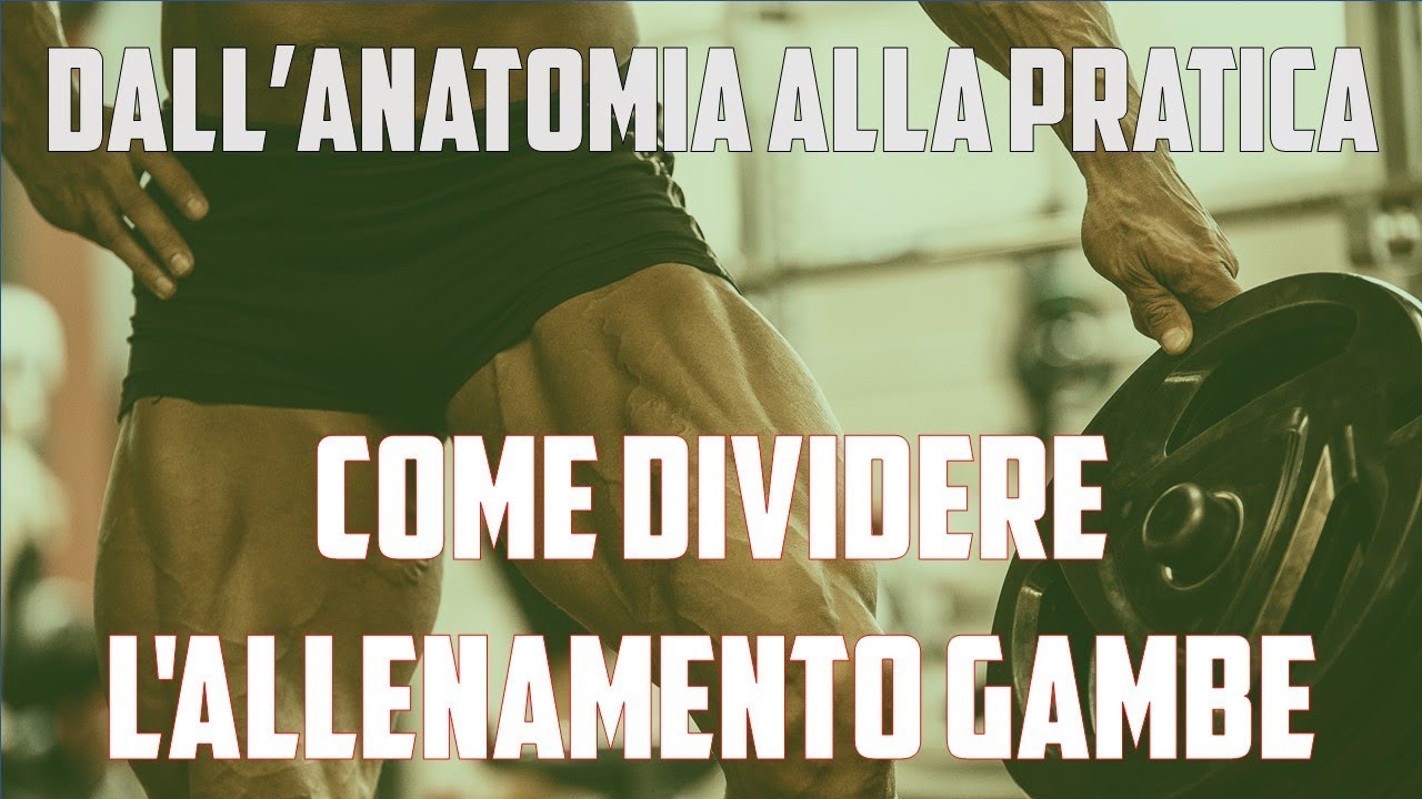 Come dividere l'allenamento gambe - dall'anatomia alla pratica