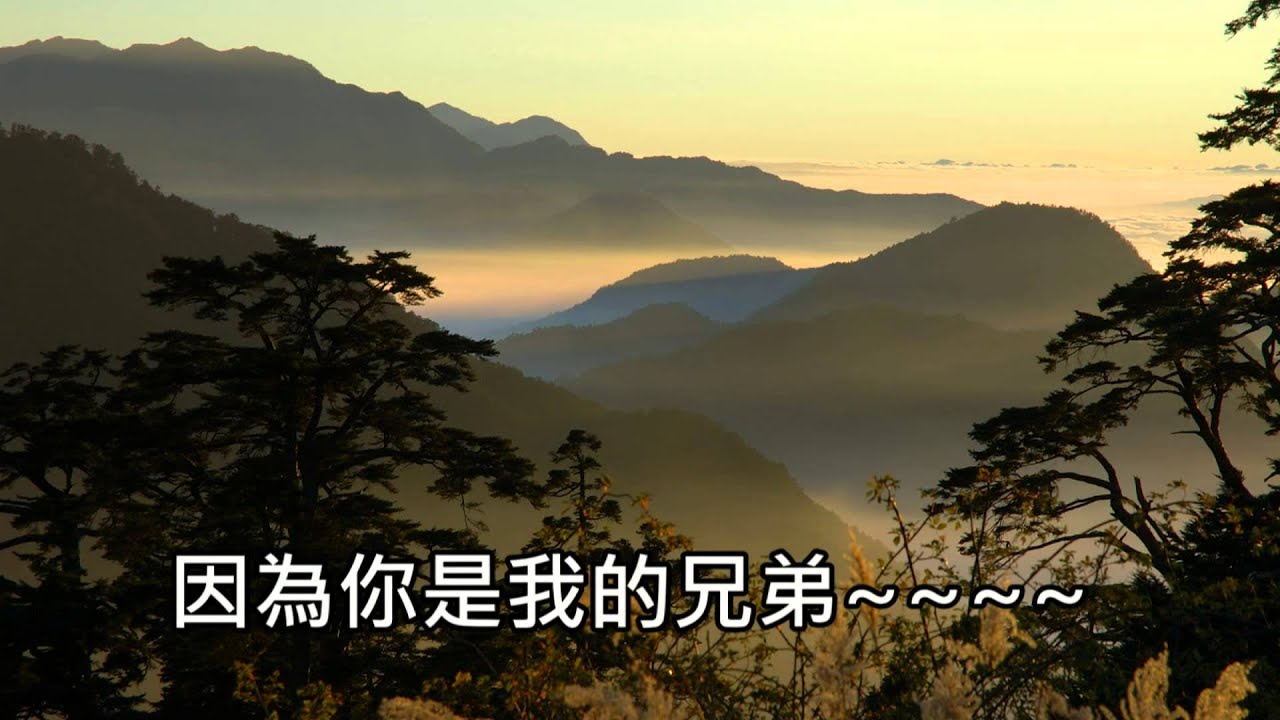 你是我的兄弟
