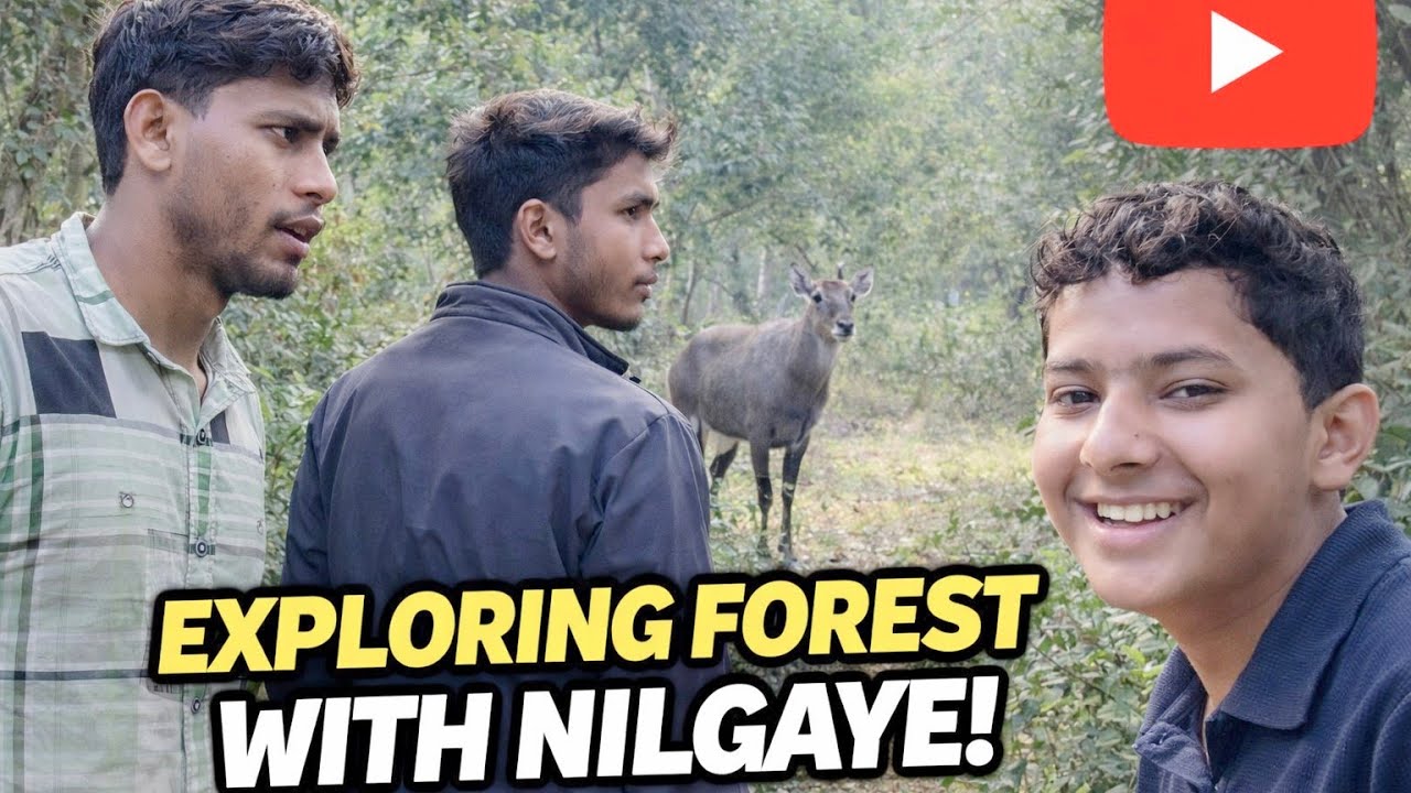 Nilgai spotted 🙀🙀 dreamer all world explore #viralvideo #wold #discovery #exploring 