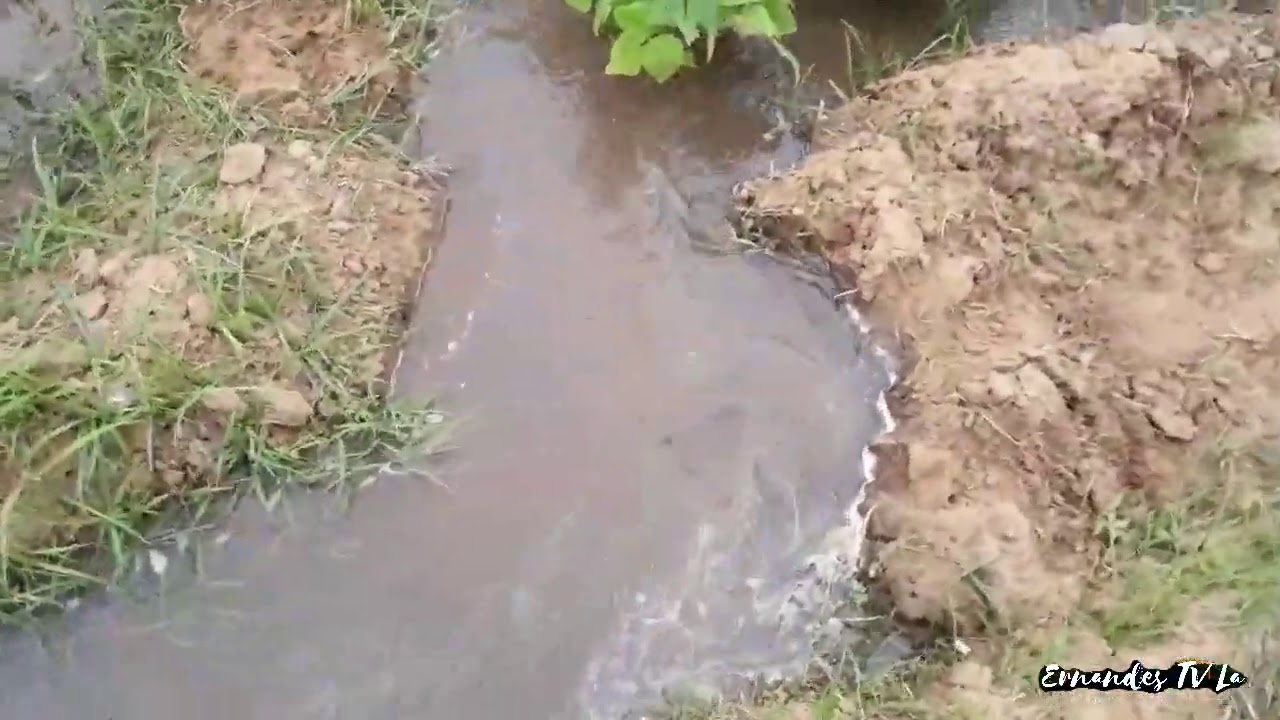 Nosso antigo sistema de irrigação como funciona!!