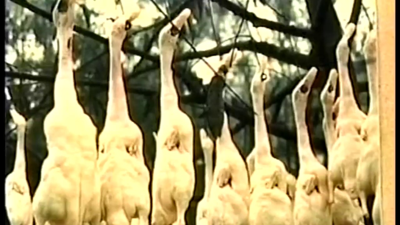 Travel photos & music in China 1999