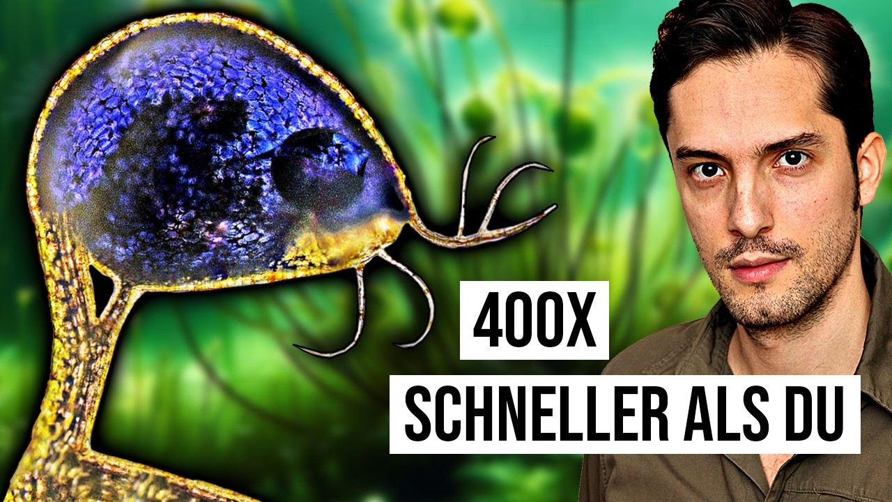 Diese Pflanze ist 400 mal schneller als du