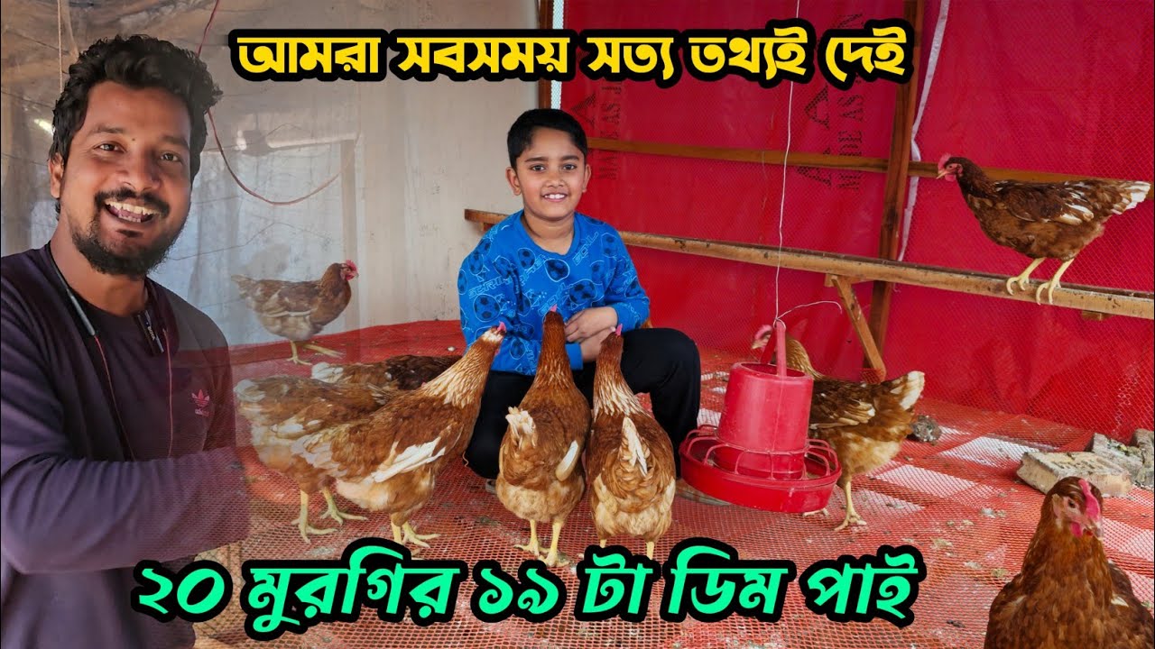 মারজিয়া আপুর লেয়ার মুরগির খামার ২০ মুরগির ১৯ টা ডিম পাই