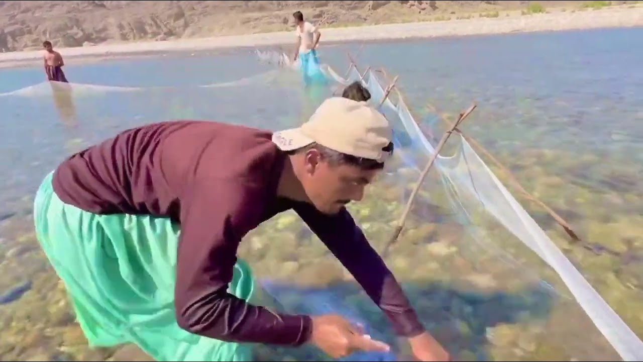 Hunting fish 🐟🐠🐟🐠