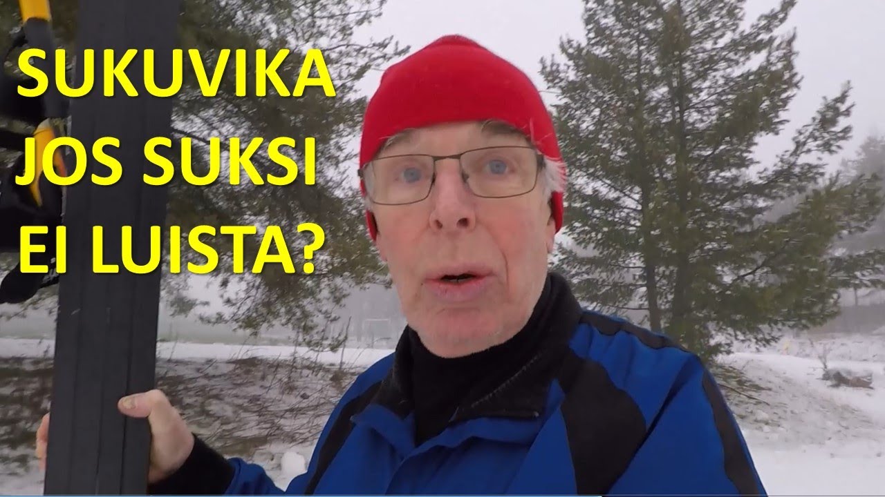 ONKO SUKUVIKA JOS SUKSI EI LUISTA