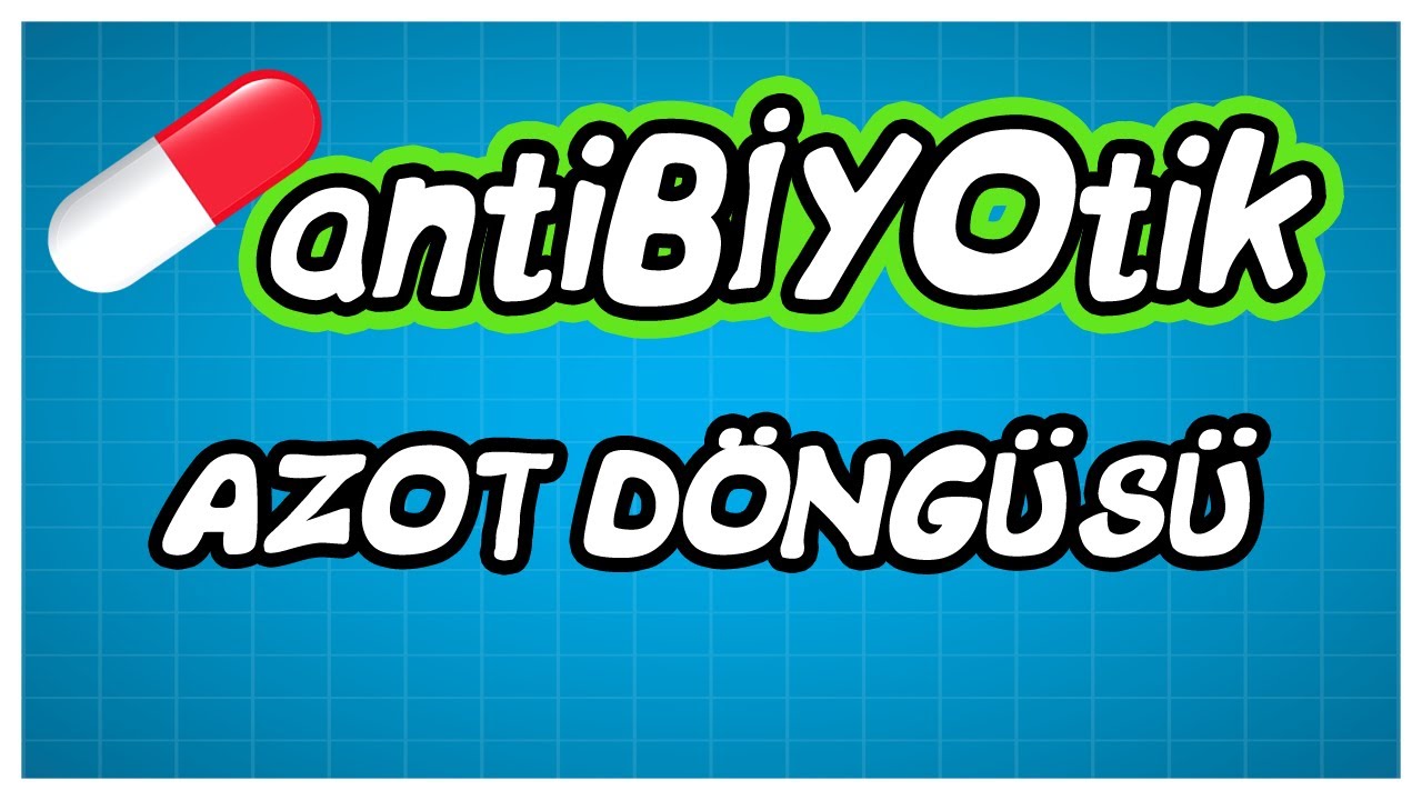 antiBİYOtik / TYT Azot Döngüsü / TYT Biyoloji