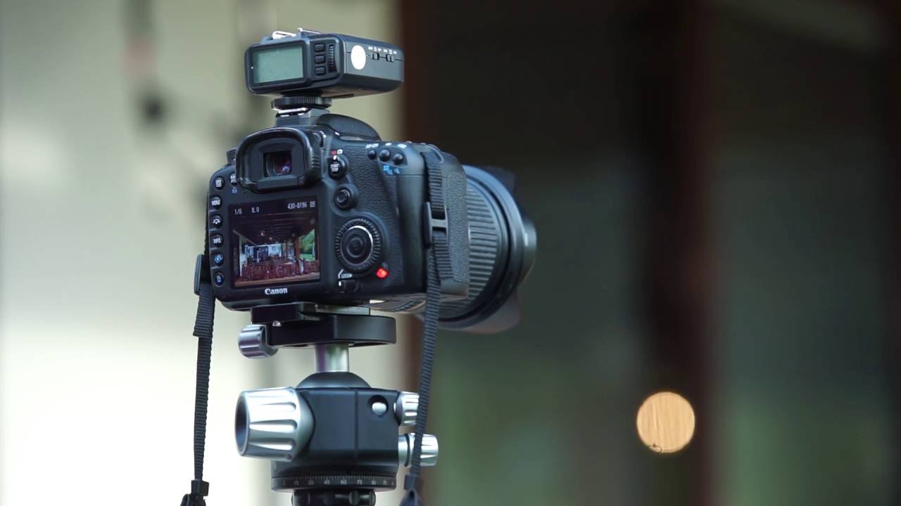 Leofoto LH 55 Head Quick Look