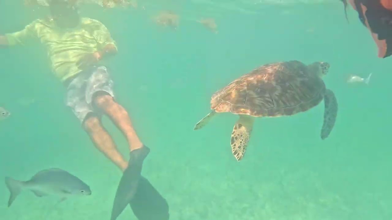 Family snorkelling trip Mexico 26