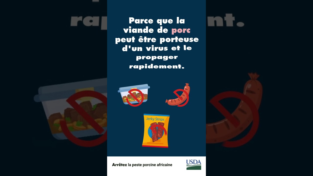 Arrêtez la peste porcine africaine