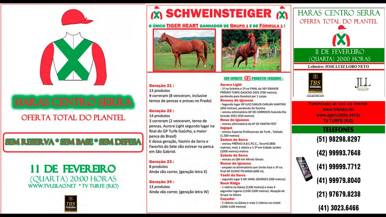 51 SCHWEINSTEIGER
