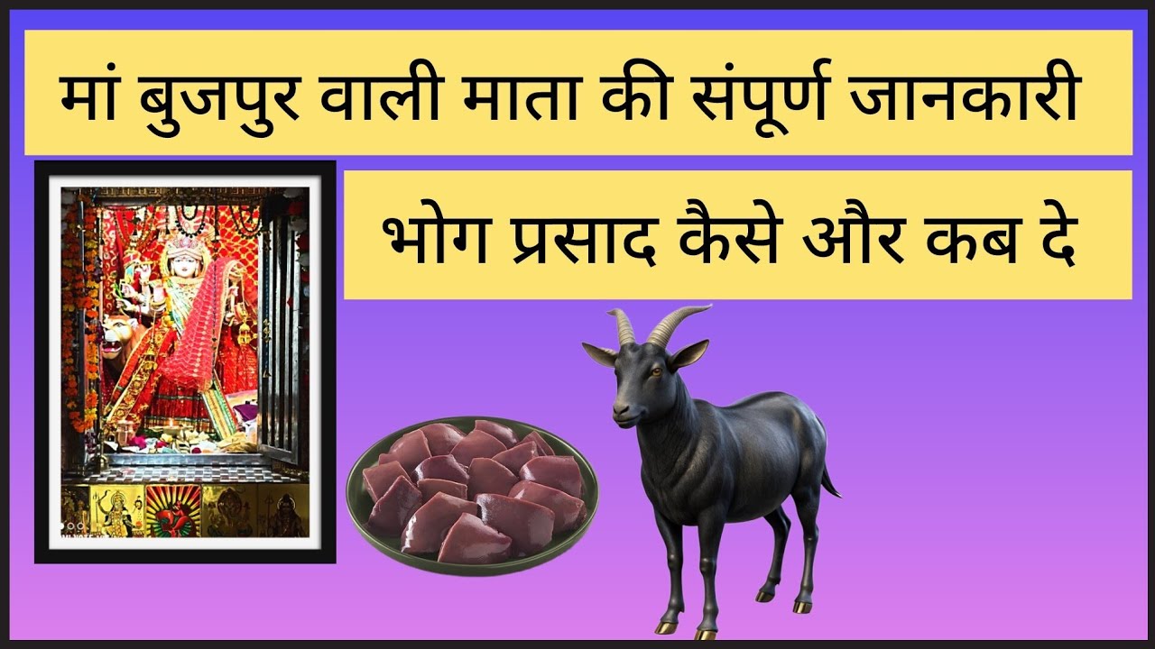 बुजपुर वाली माता की संपूर्ण जानकारी भोग प्रसाद कैसे और कब दे Bujpur wali mata ki jankari