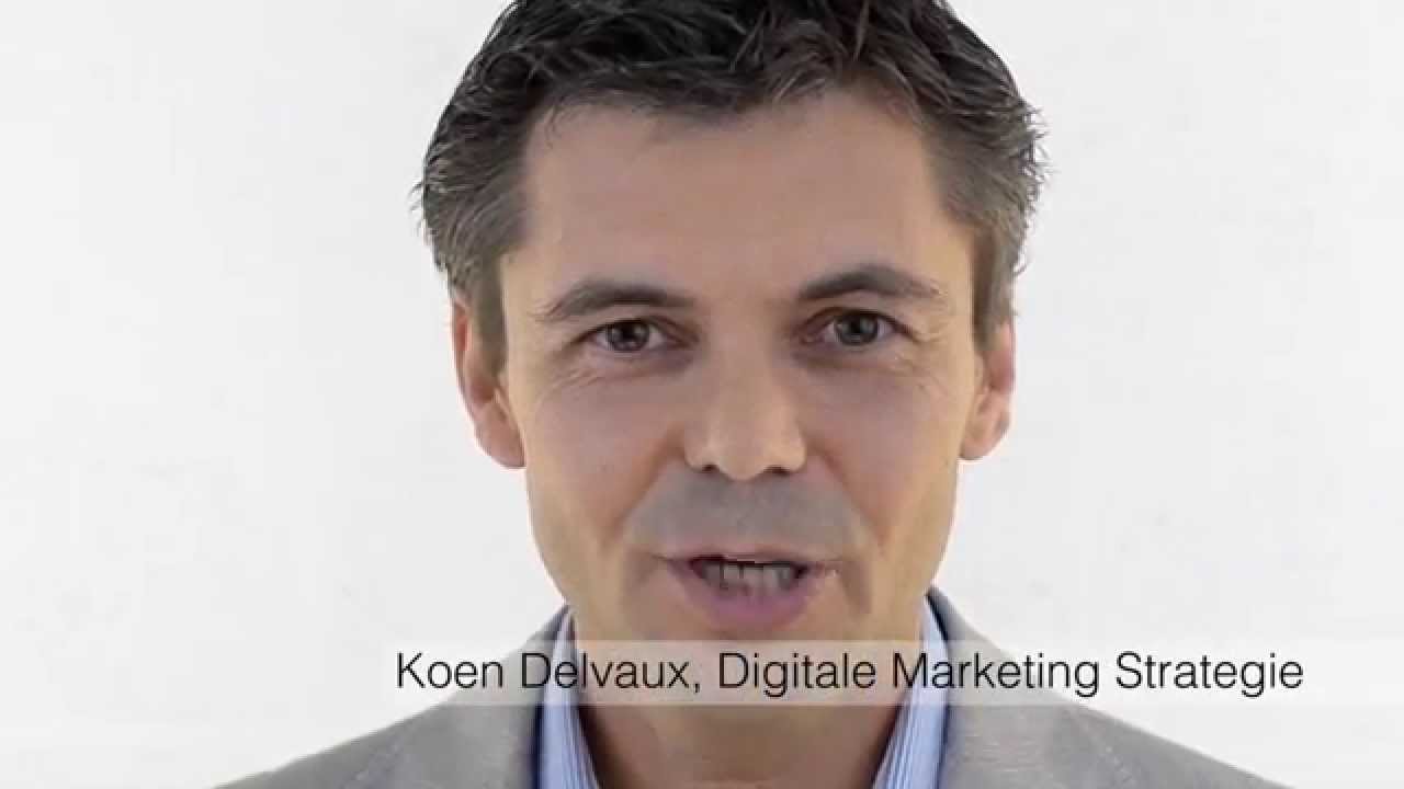 Video CV Koen Delvaux