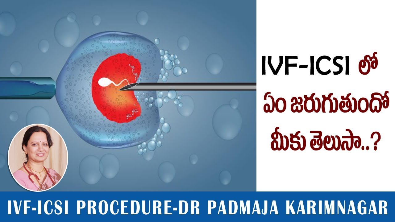 ivf icsi procedure -Dr Padmaja Fertility center karminagar