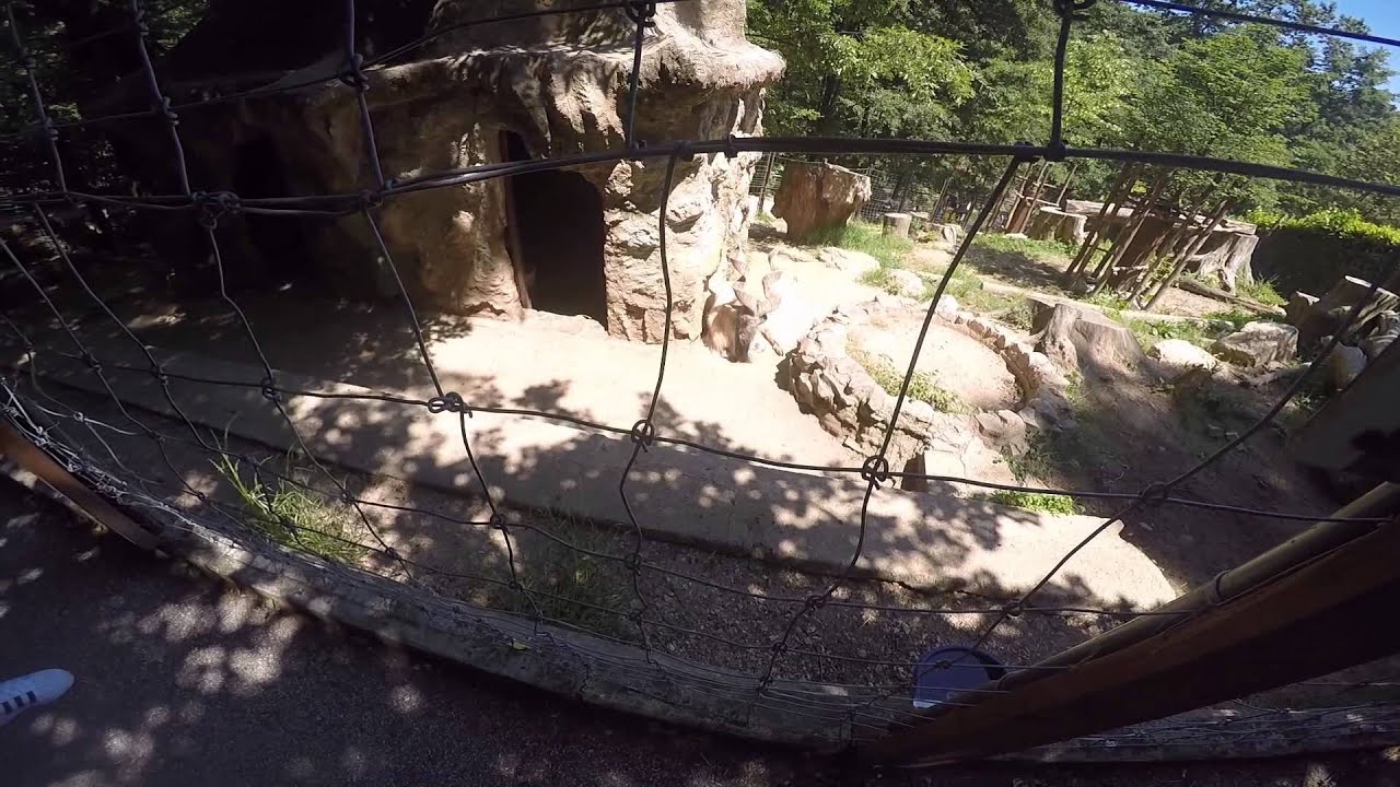 Lo zoo di Pistoia
