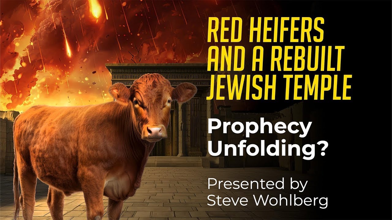 Red Heifers and a Rebuilt Jewish Temple | Steve Wohlberg