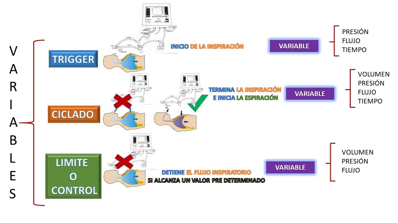 Variables en la Ventilación Mecánica Pulmonar