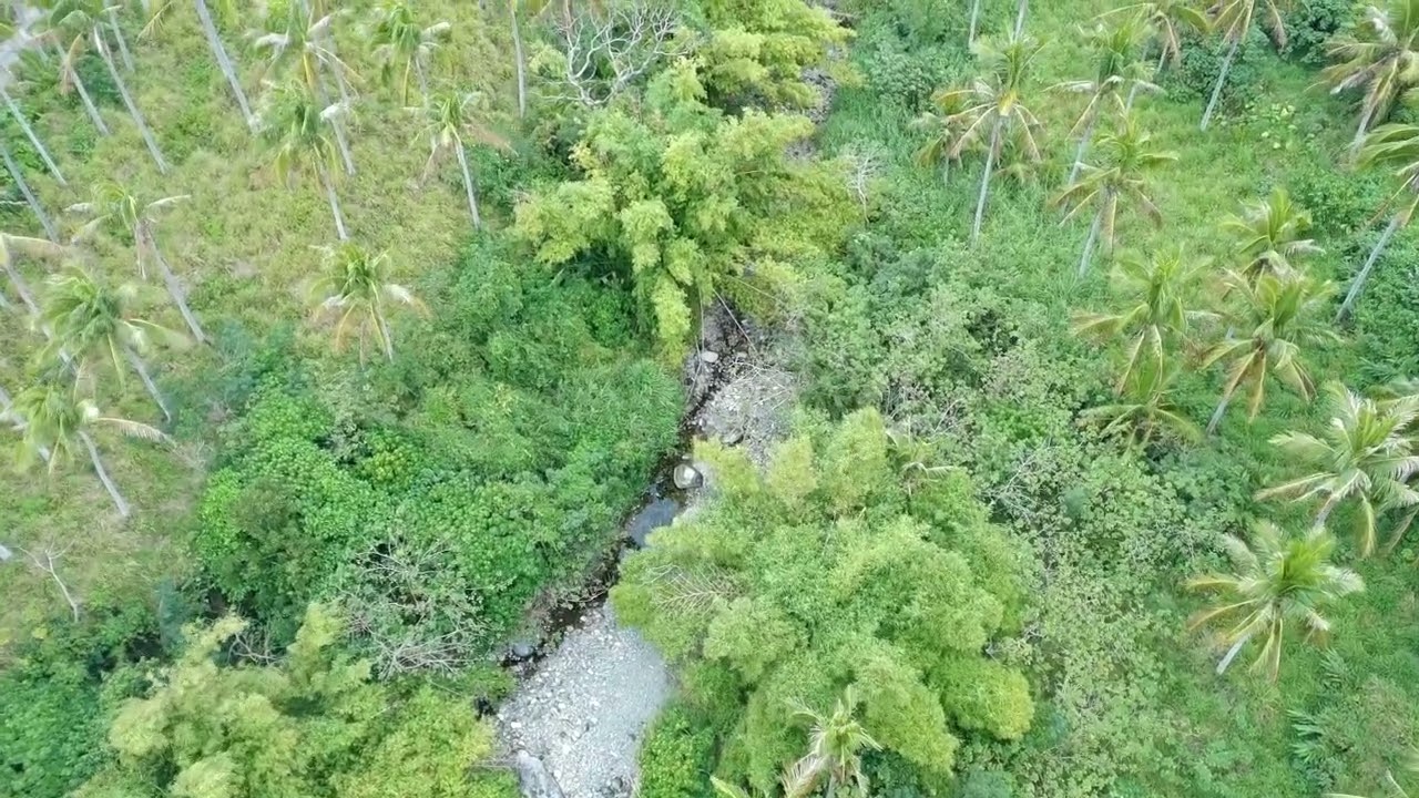 20260207 籐橋溪中游段現況