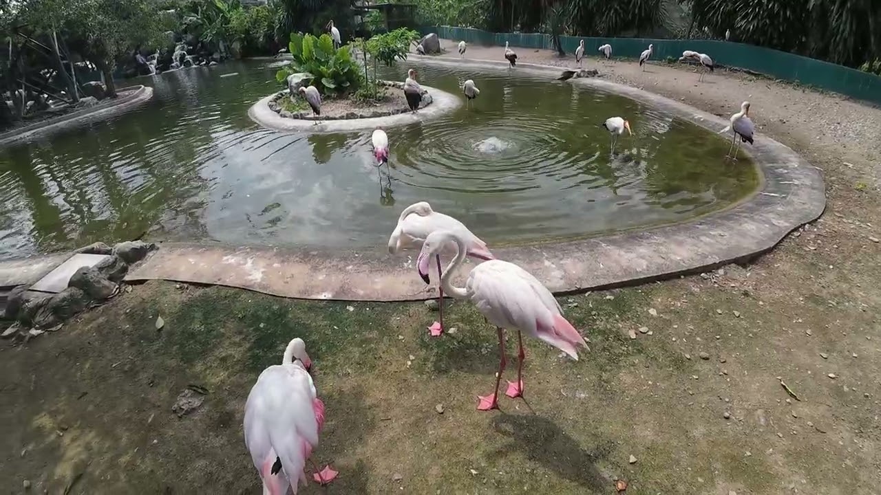 KL Bird Park🇲🇾