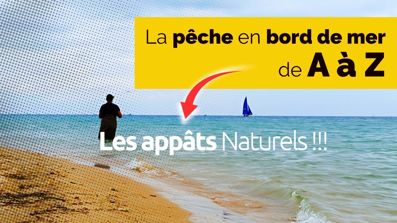 Peche en mer de A à Z - 4 (Les appâts naturels)