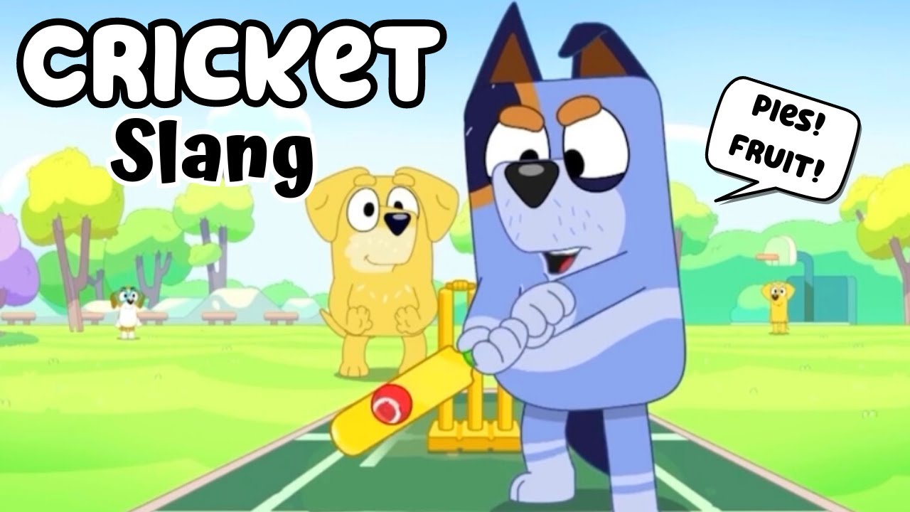 Translating EVERY Bluey Cricket Slang Word, Australian Reference & Joke in season 3 episode 47