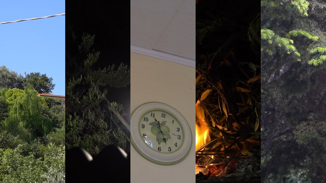 [ASMR] 3 HOURS of Ambient Sound, Relaxing Studying, Stress Relief. Day, Night, Silence Fire and Rain
