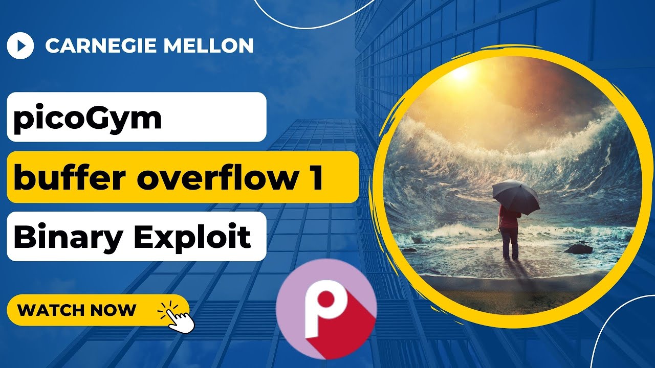 picoGym (picoCTF) Exercise: buffer overflow 1