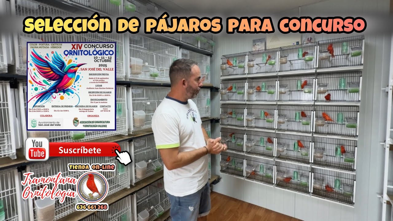 Selección de pájaros para Concursar !!
