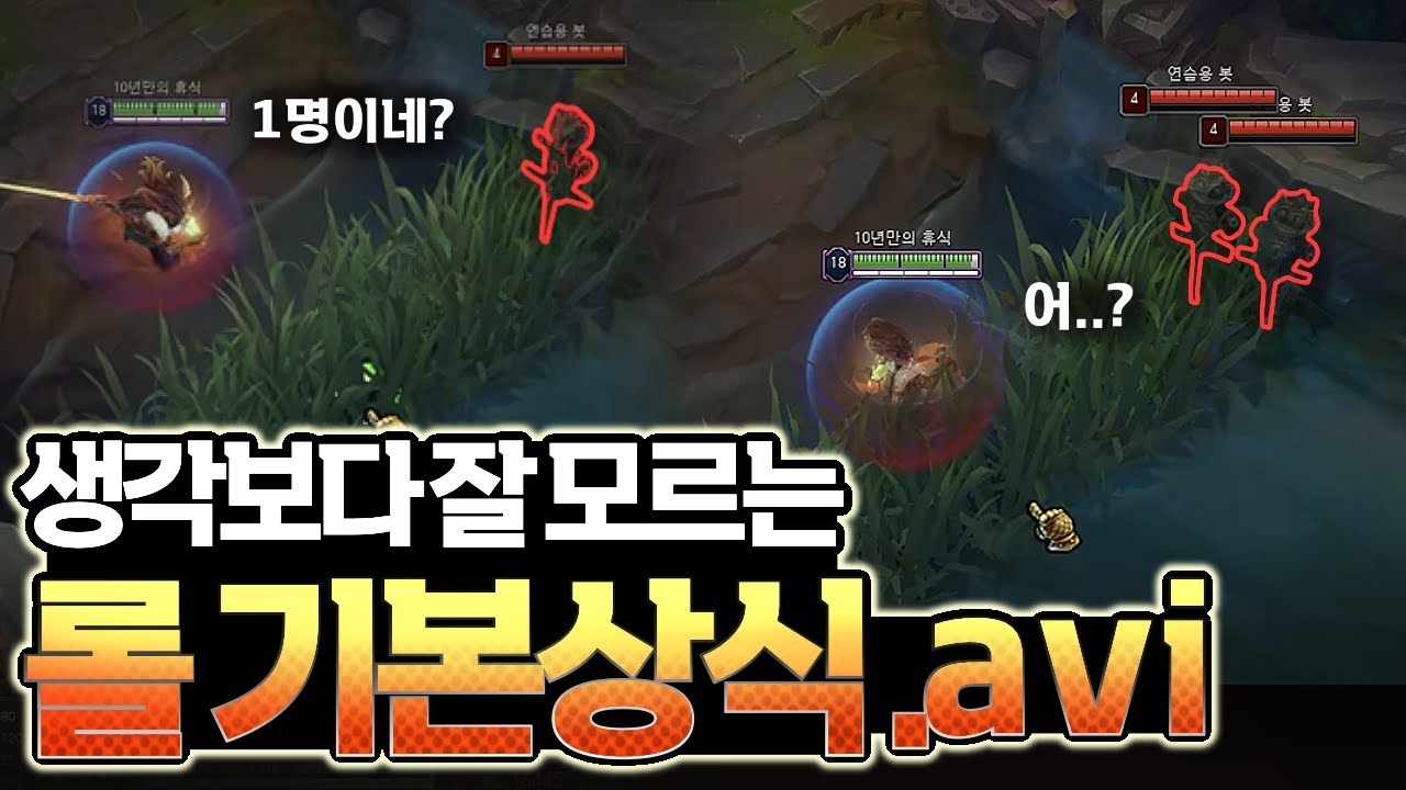 혹시 이거 아셨나요? 생각보다 잘 모르는 롤 기본상식들.avi