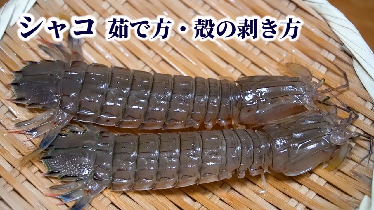 【シャコ】茹で方・殻の剥き方／爪の身まで綺麗に取って食べる方法