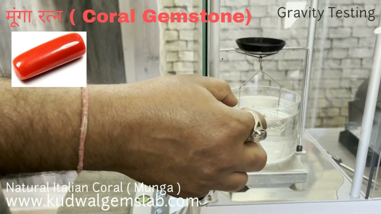 Natural Italian Coral With Lab Report || Gravity Testing || Tefraction Testing || Microscope Testing